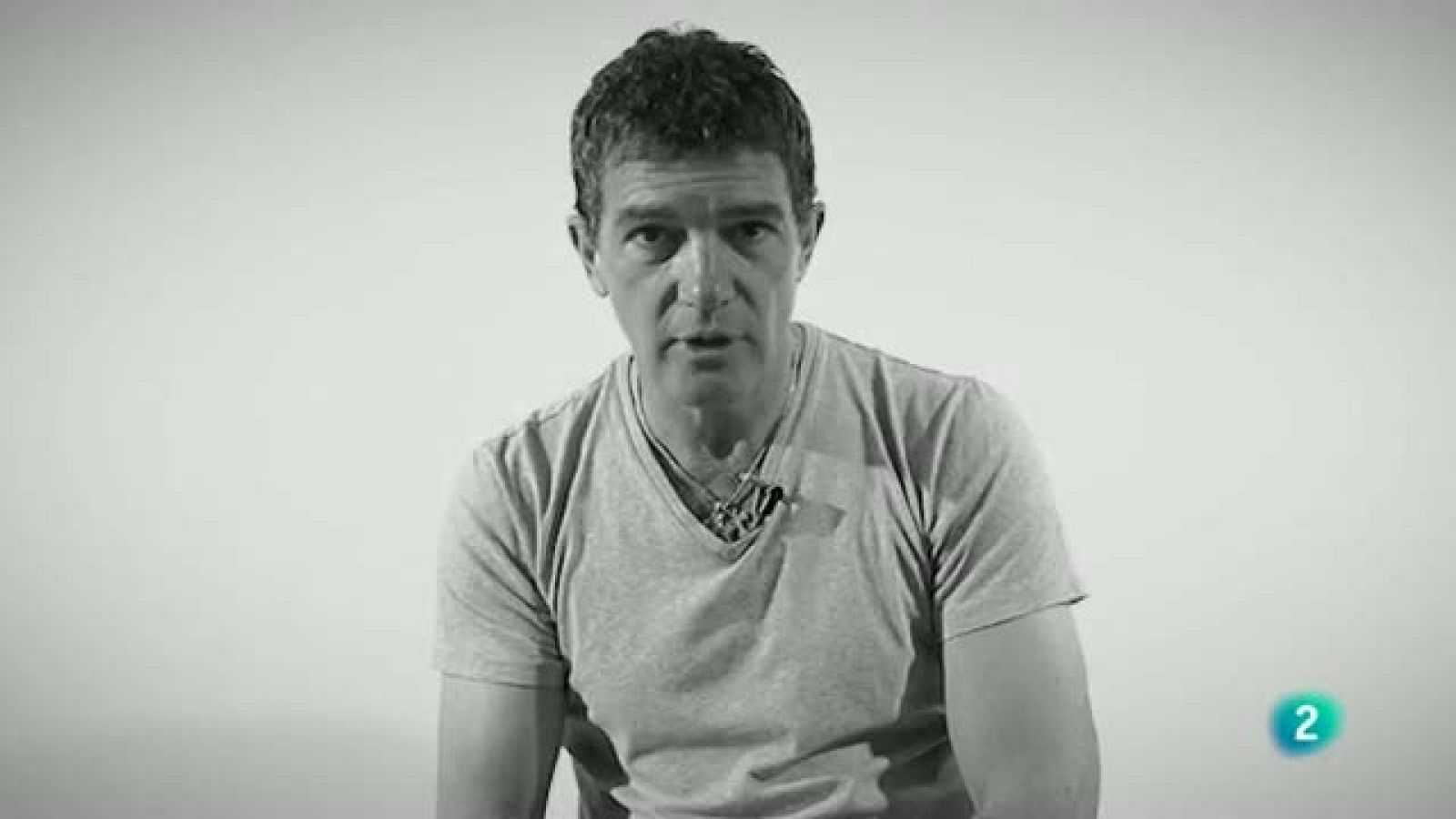 Para Todos La 2 - La salud de la lengua española