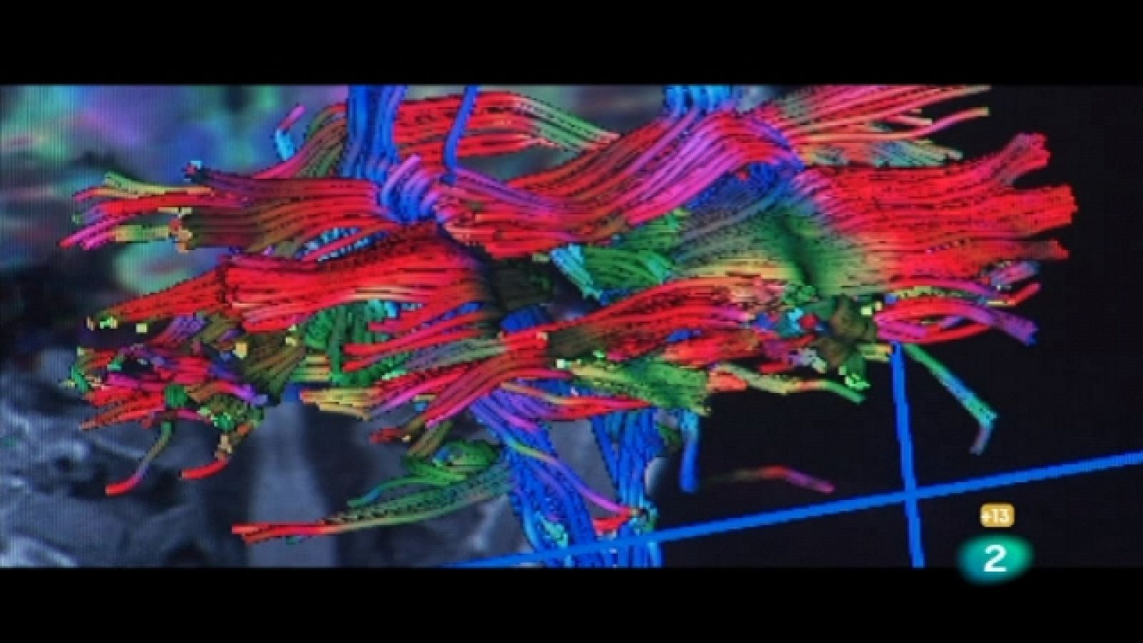 La noche temática - Verdadero o falso - Ver ahora