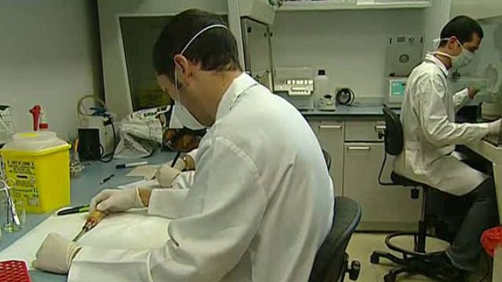 Telediario 1 - Bases de datos de la Policía