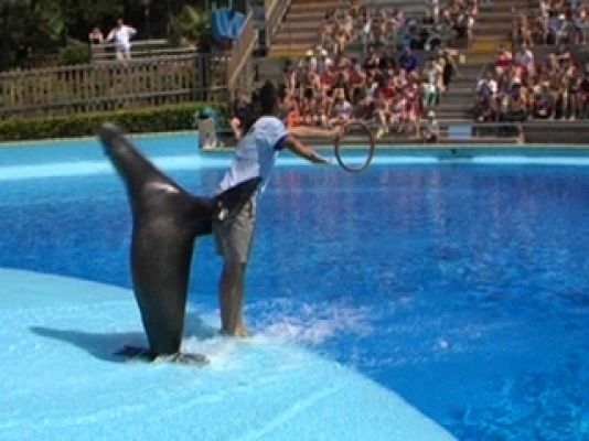 Comando Actualidad - ¿Dónde hay trabajo? Avance