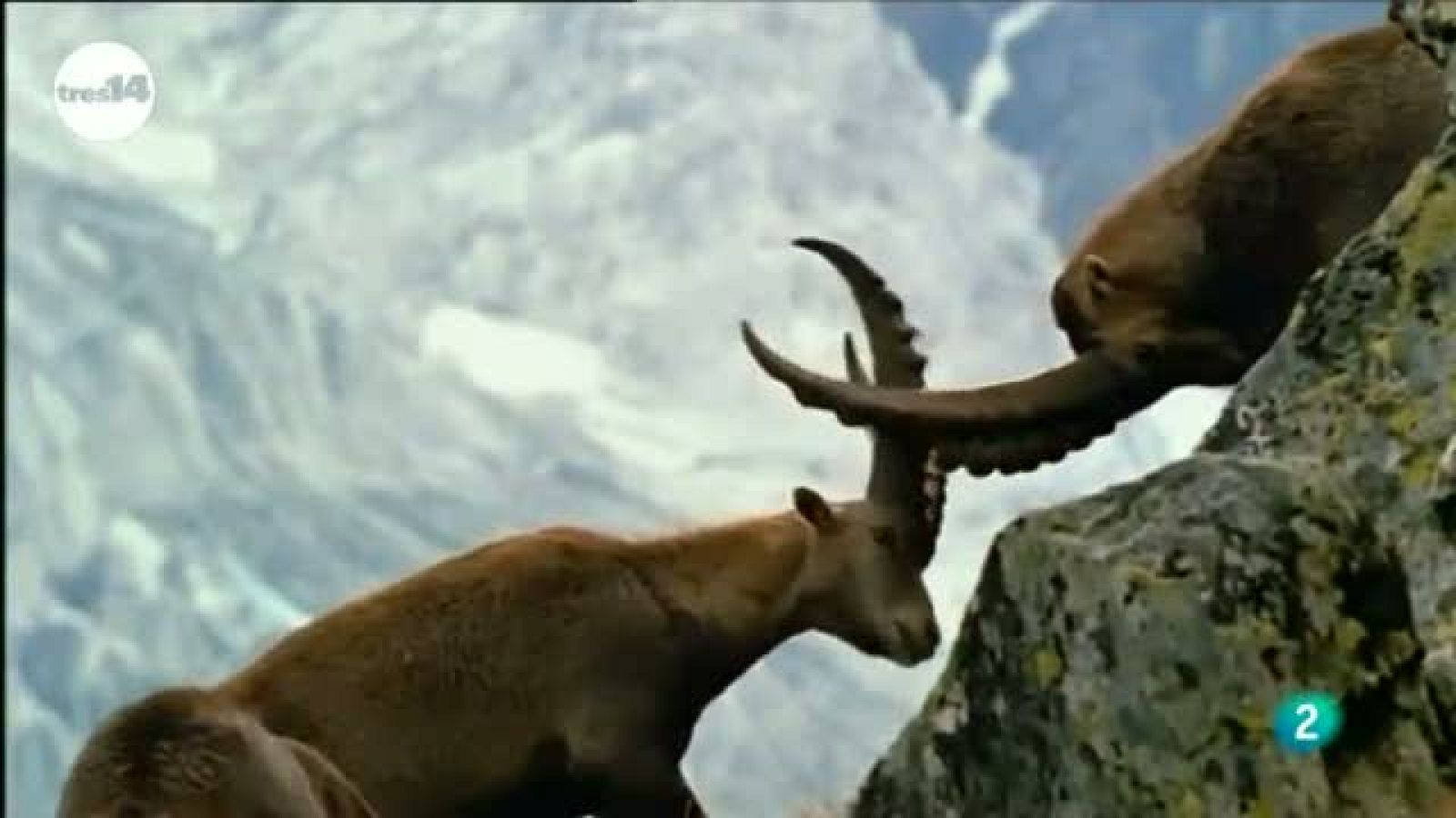 tres14 - curiosidades científicas - Resucitar las especies