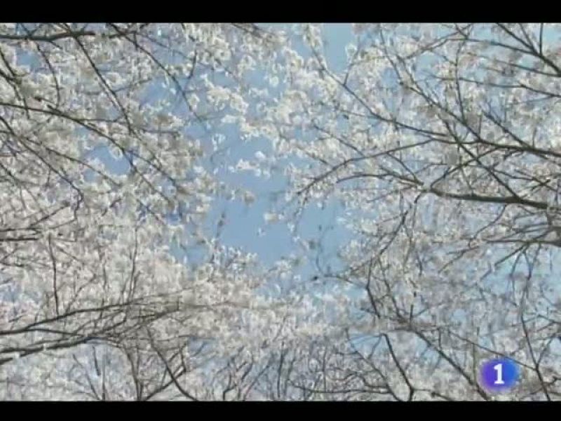 El tiempo en Castilla y León - 20/06/11