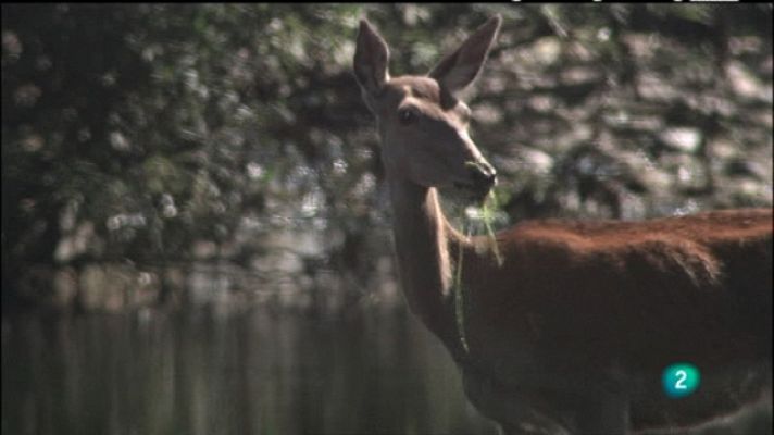 Biodiario - Biodiario - 20/06/11