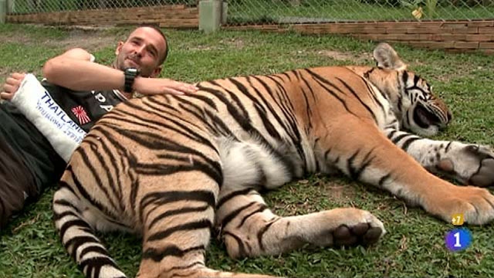 Españoles en el mundo - Chiang Mai - Jorge