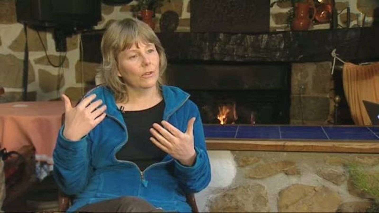 El escarabajo verde entrevista a Bárbara Stützel