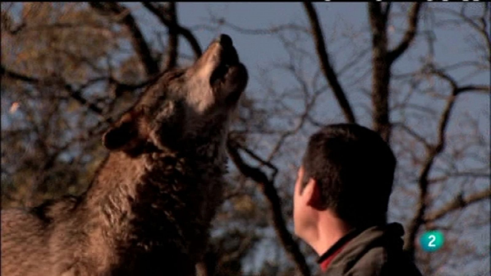 Biodiario - 22/06/11 - Ver ahora