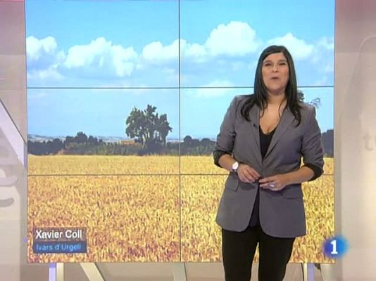 L'Informatiu - El temps - 23/06/11