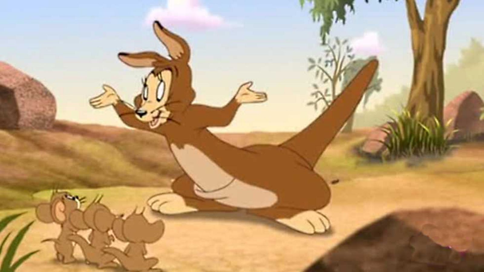Canguro bobo - Tom y Jerry | Ver
