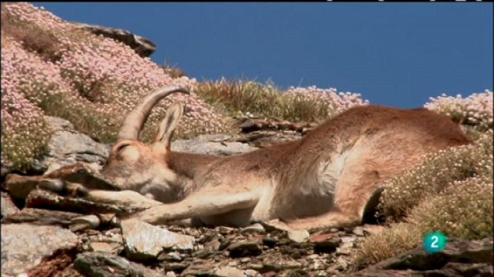 Biodiario - Biodiario - 23/06/11