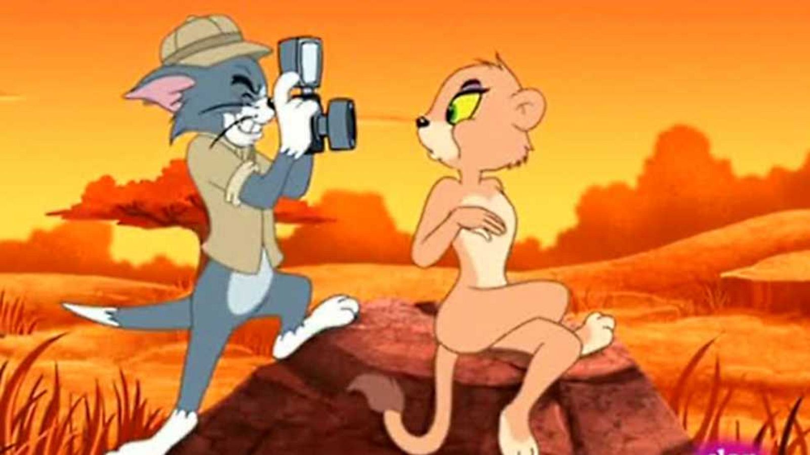 Eres un león - Tom y Jerry | Ver