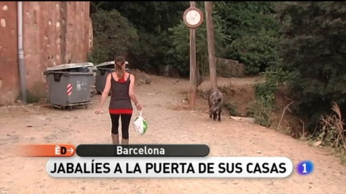 España Directo - España Directo - 23/06/11