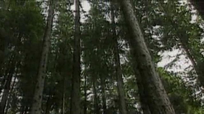 Universo UNED - Responsabilidad Social Corporativa.