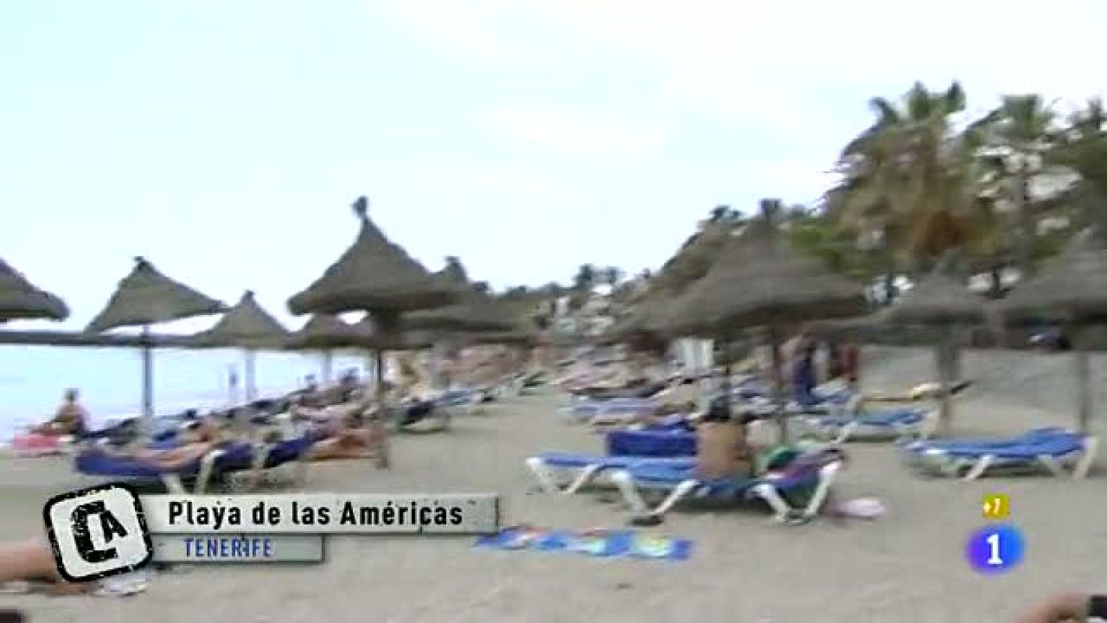 Comando Actualidad - ¿Dónde hay trabajo? - Canarias - Comando Actualidad | Ver