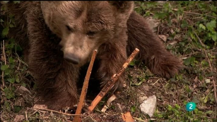 Biodiario - Biodiario - 24/06/11