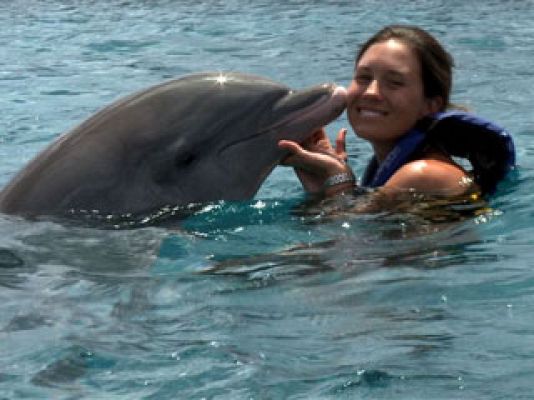 Españoles en el mundo - Españoles en Yucatán