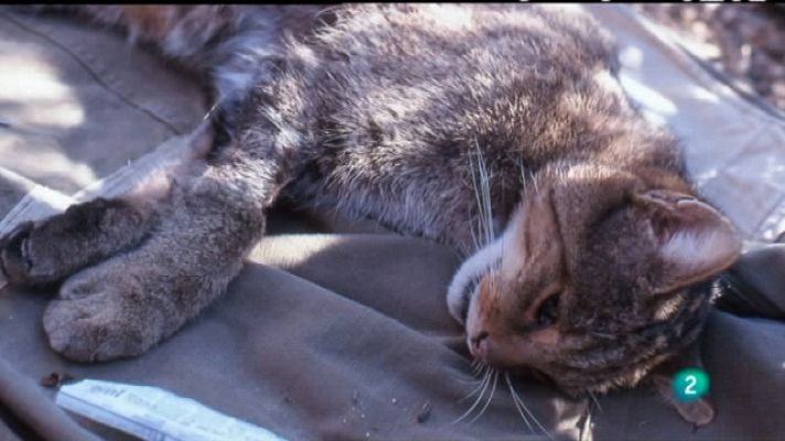 Biodiario - Biodiario - 27/06/11