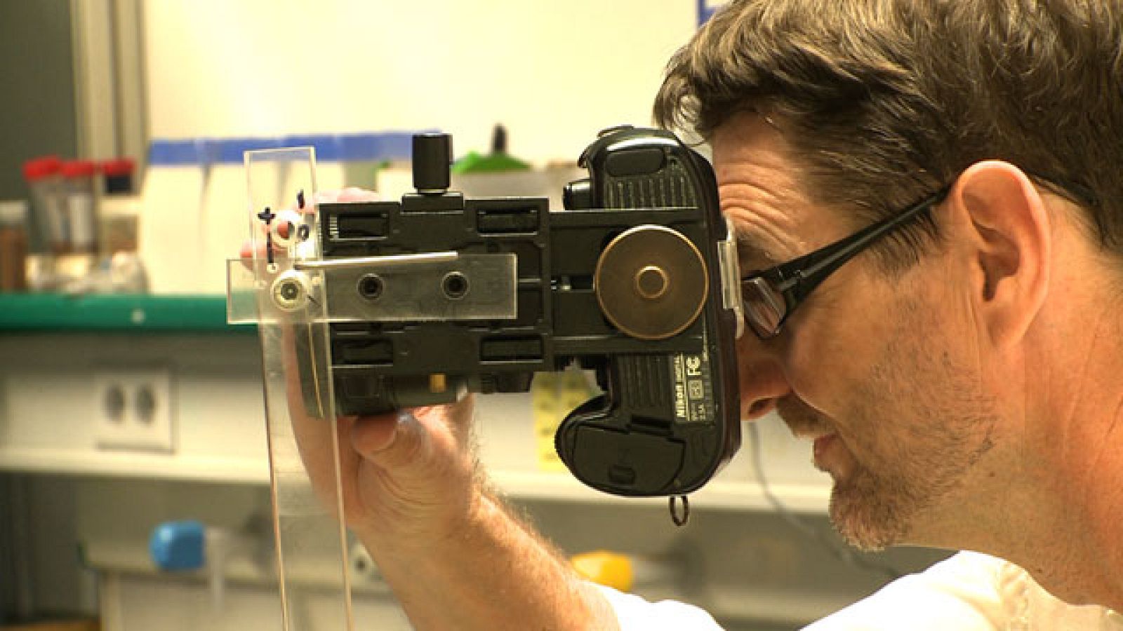 Destino España - Valencia V - Stuart | Ver