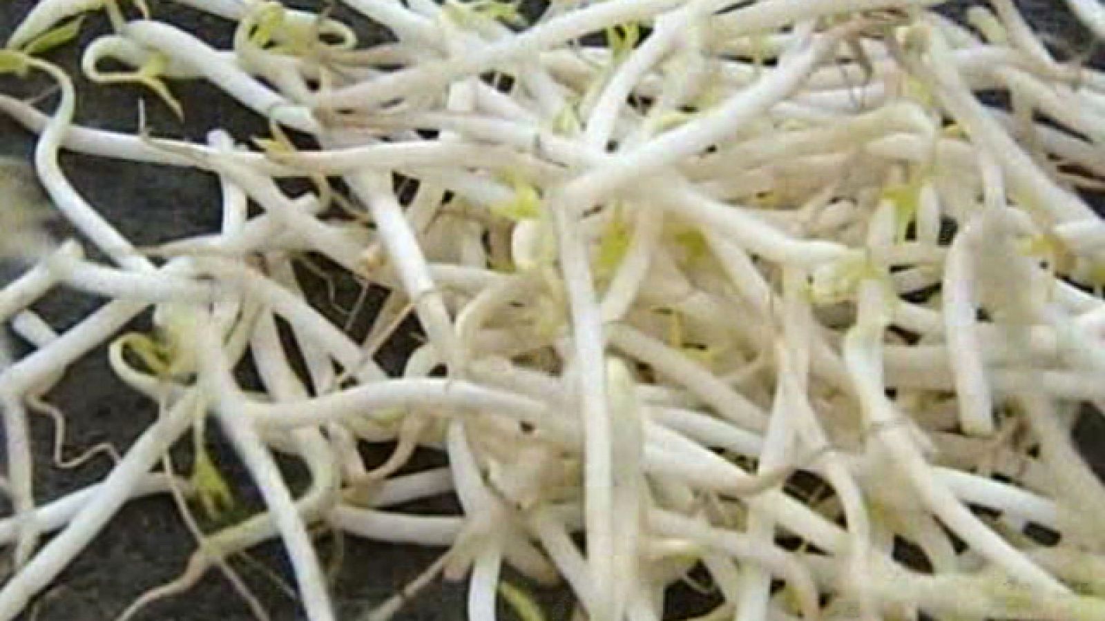 Nuevo brote de E.coli en Alemania