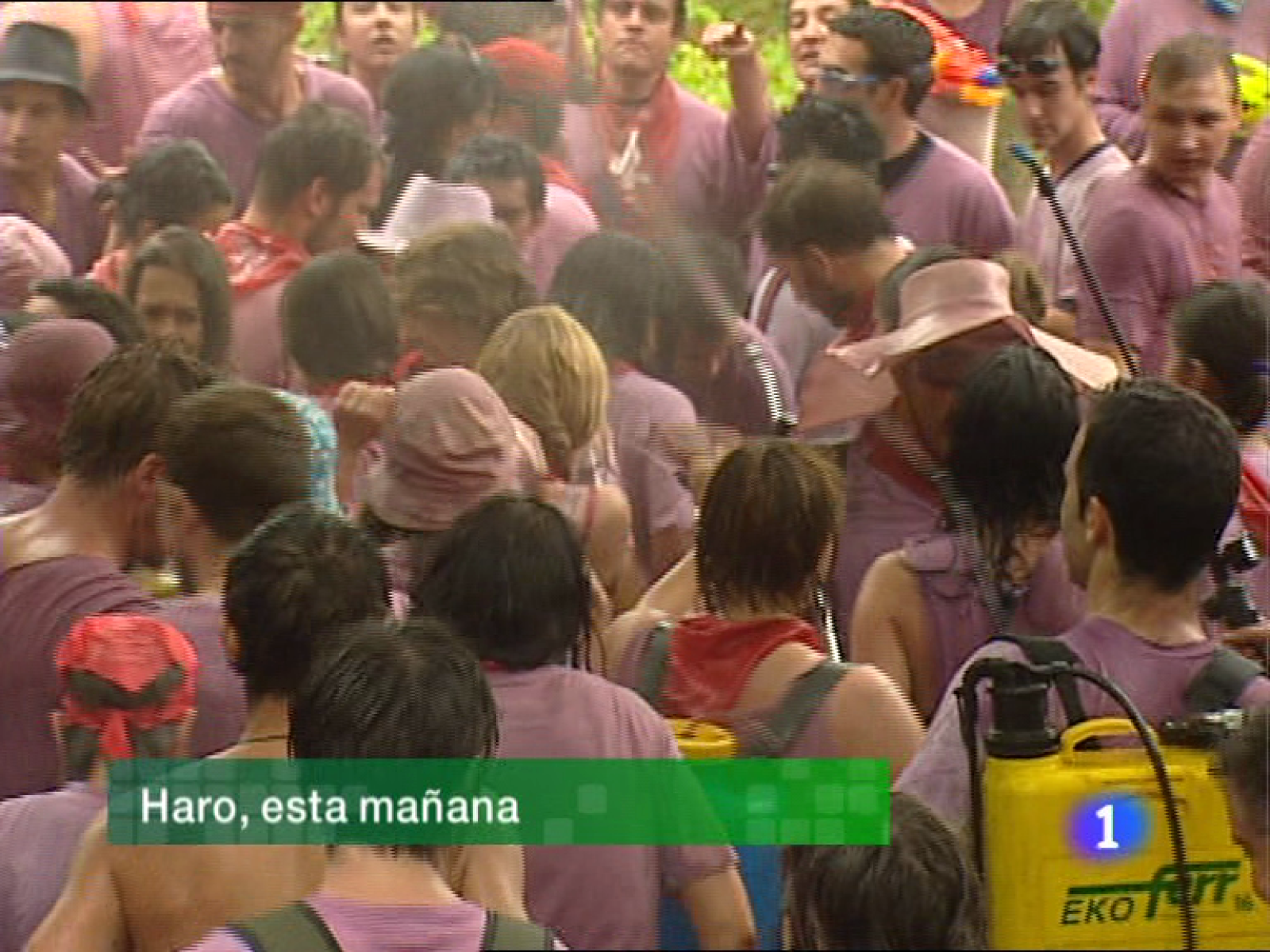 Informativo Telerioja - 29/06/11 | Ver