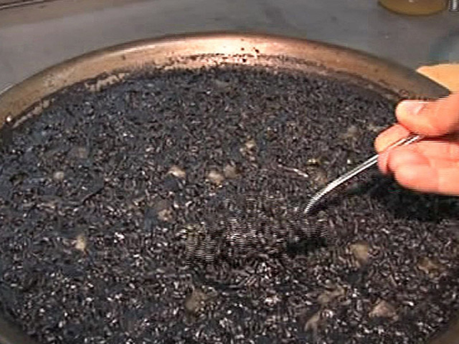 España Directo - Arroz negro