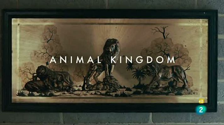 Días de cine - 'Animal Kingdom'