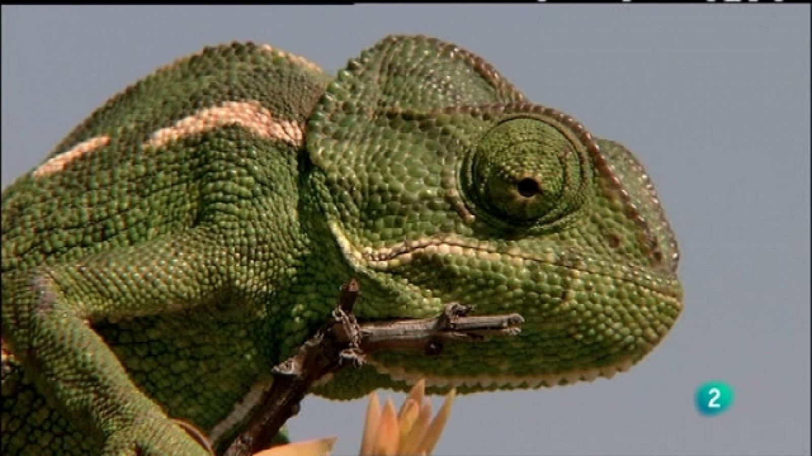 Biodiario - 01/07/11 - Ver ahora