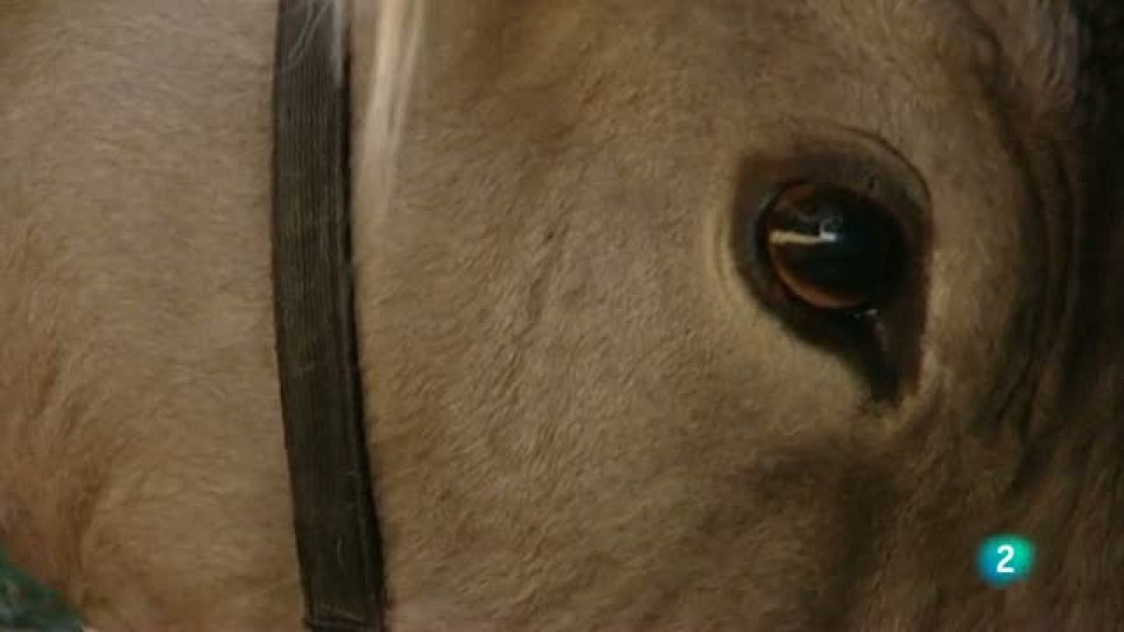 Continuarà - Gerard Moliné, artista. dissenyador