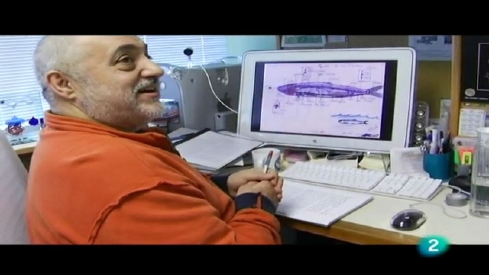 Investigadores - Miguel Vicente Muñoz - Ver ahora