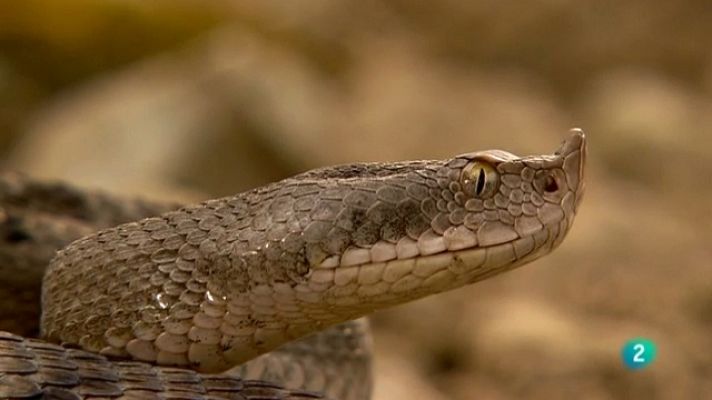 Biodiario - Biodiario - 04/07/11