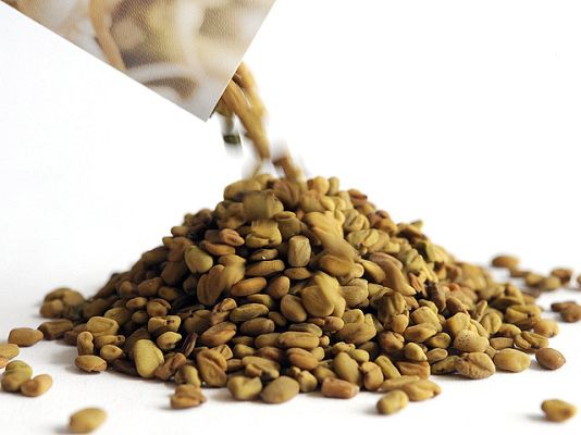 Telediario 1 - Bruselas suspende las importaciones de algunas semillas de Egipto por la bacteria E. coli