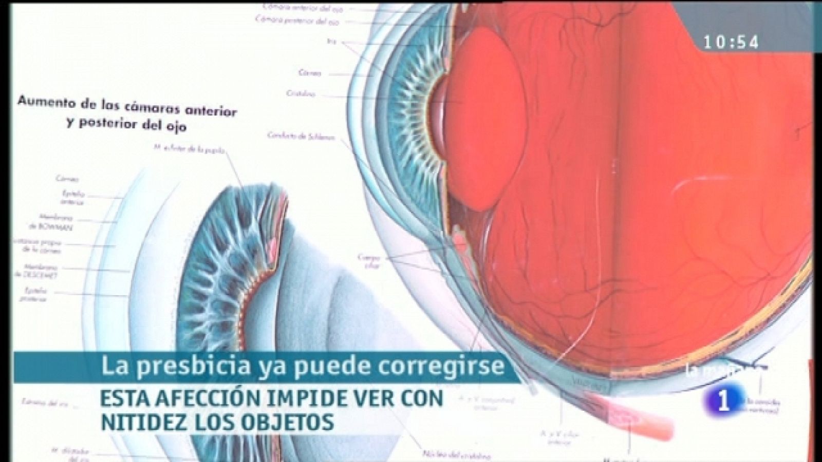 Saber vivir - 06/07/11 - Ver ahora