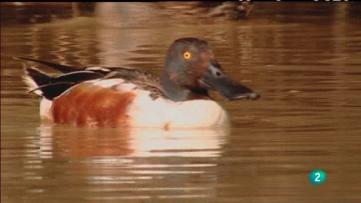 Biodiario - Biodiario - 07/07/11