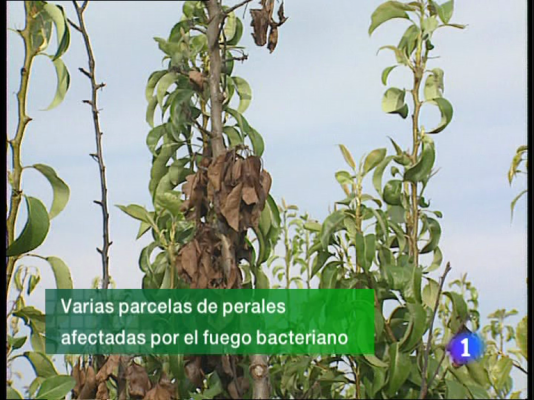 Informativo Telerioja - Informativo Telerioja - 08/07/11