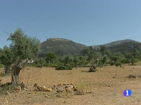 Informatiu Balear - Informatiu Balear - 08/07/11