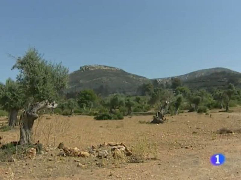 Informatiu Balear - 08/07/11