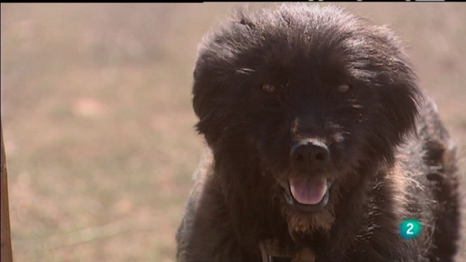 Biodiario - 08/07/11 - Ver ahora