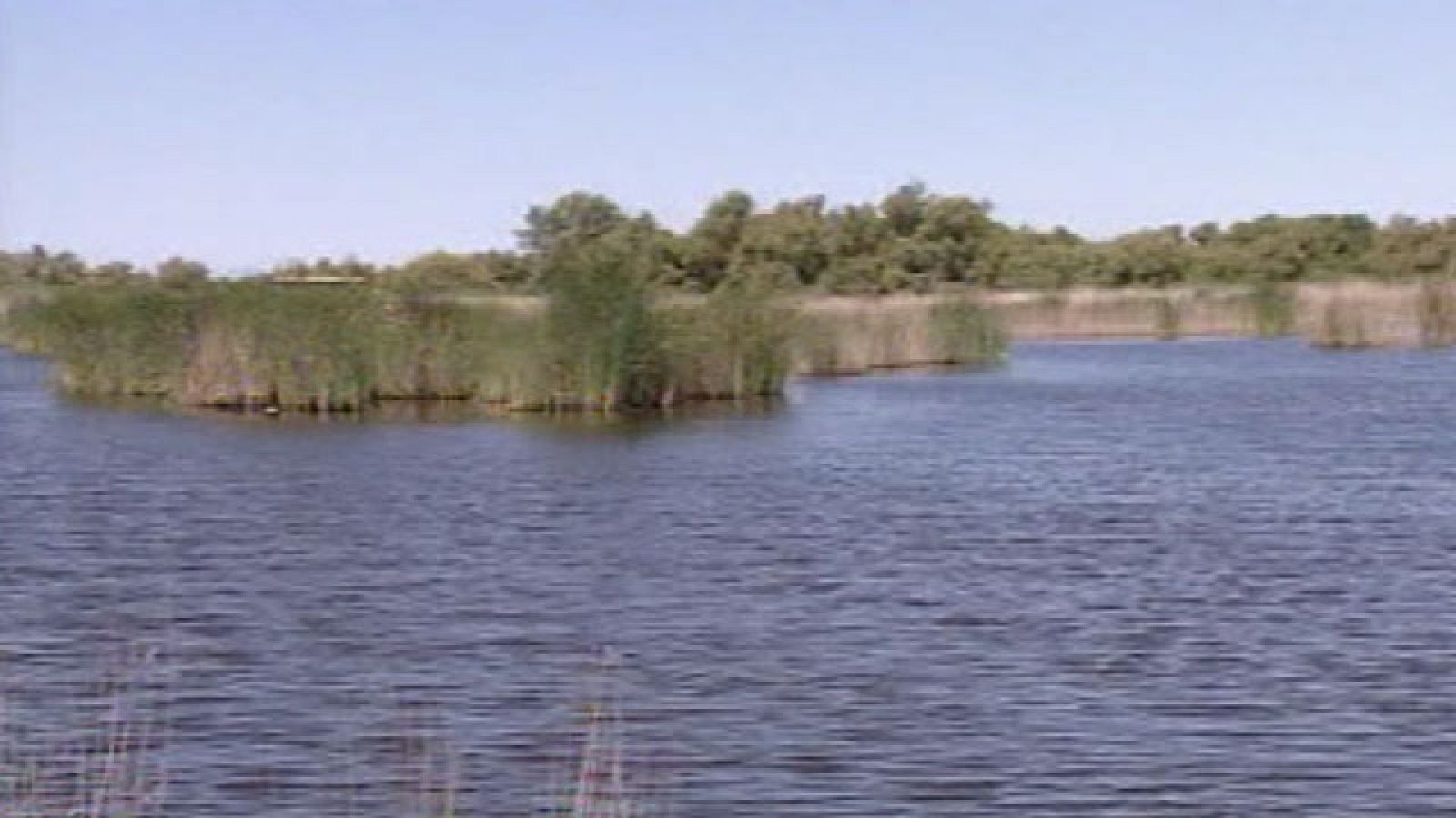 Las Tablas de Daimiel están en sus máximos niveles de inundación