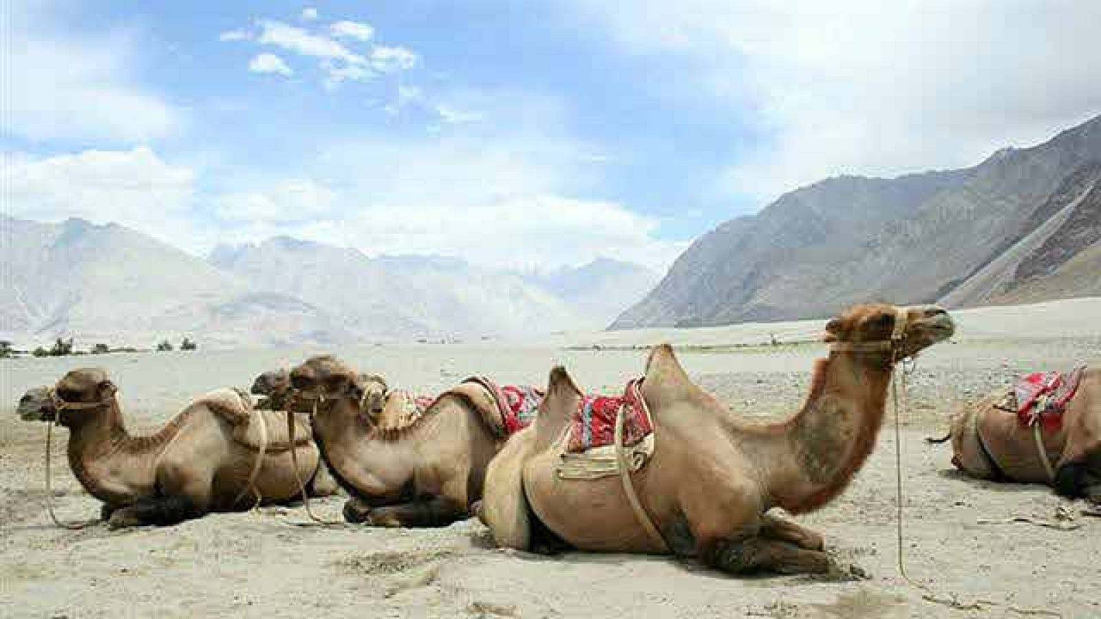 On Off: Turismo que no joroba - On Off | Ver