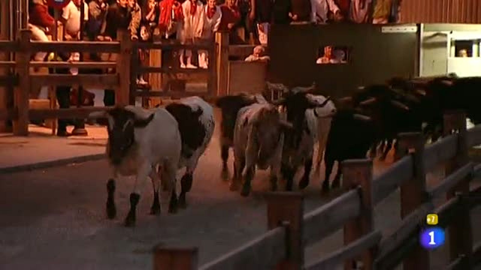 El encierrillo de San Fermín | Ver