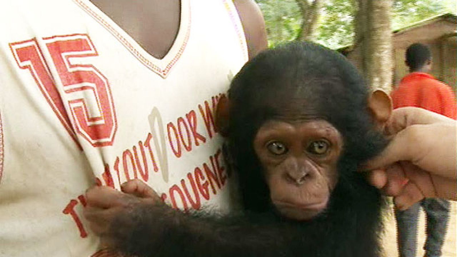 Españoles en el mundo - Camerún - Reserva Pongo Songo