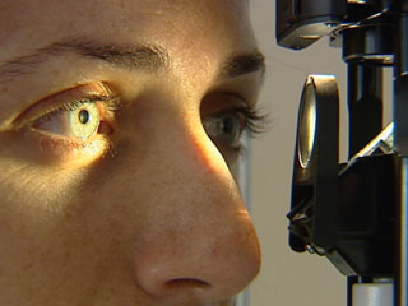 Principales enfermedades del verano