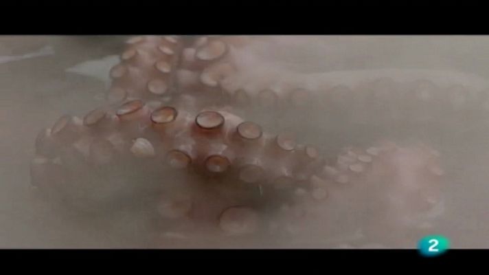 Con los 6 sentidos - Ourense 1