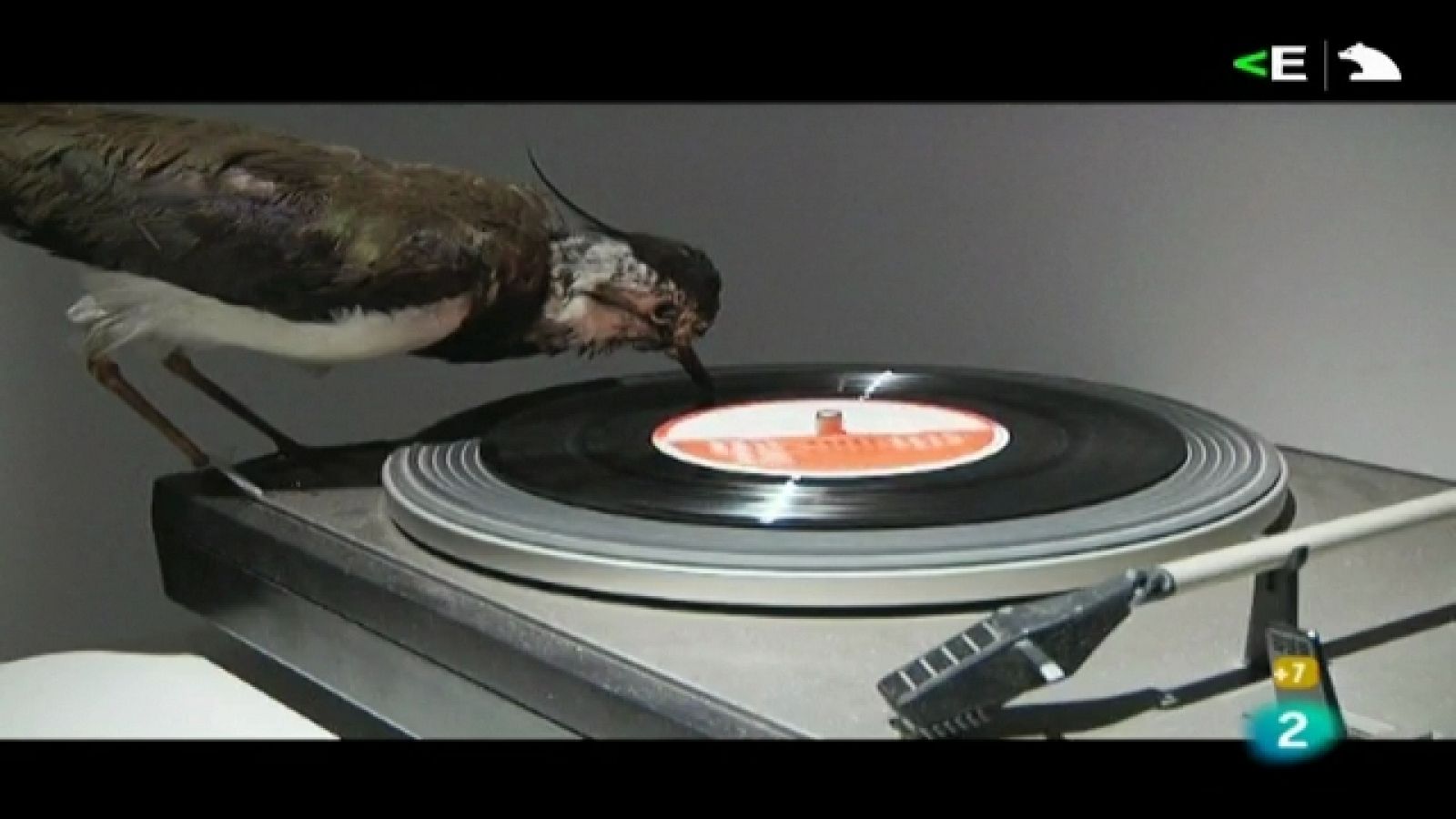 La casa encendida - 14/07/11 - Ver ahora