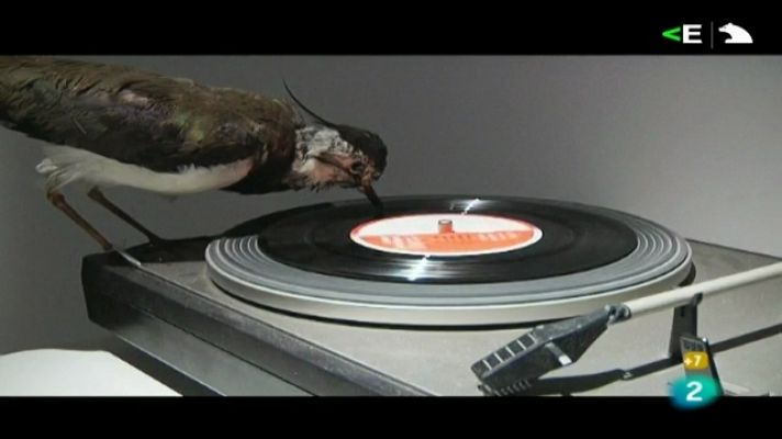 La Casa Encendida - La casa encendida - 14/07/11