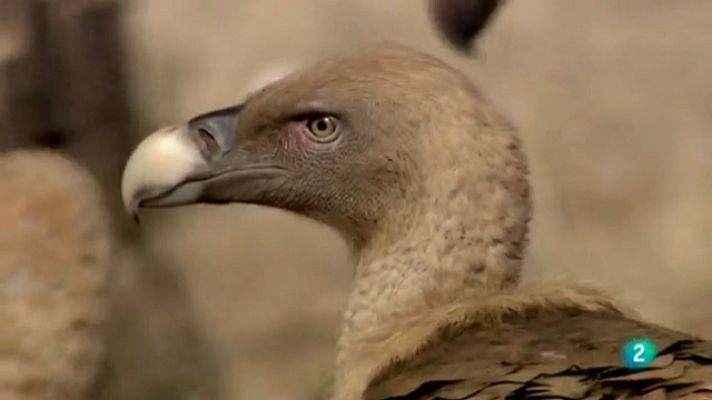 Biodiario - Biodiario - 16/07/11