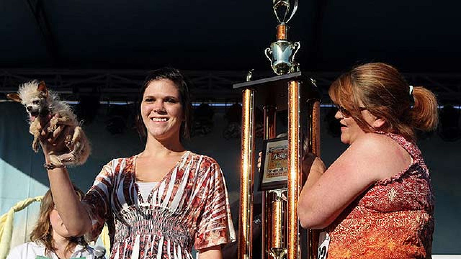 On Off: El perro más feo del mundo - On Off | Ver