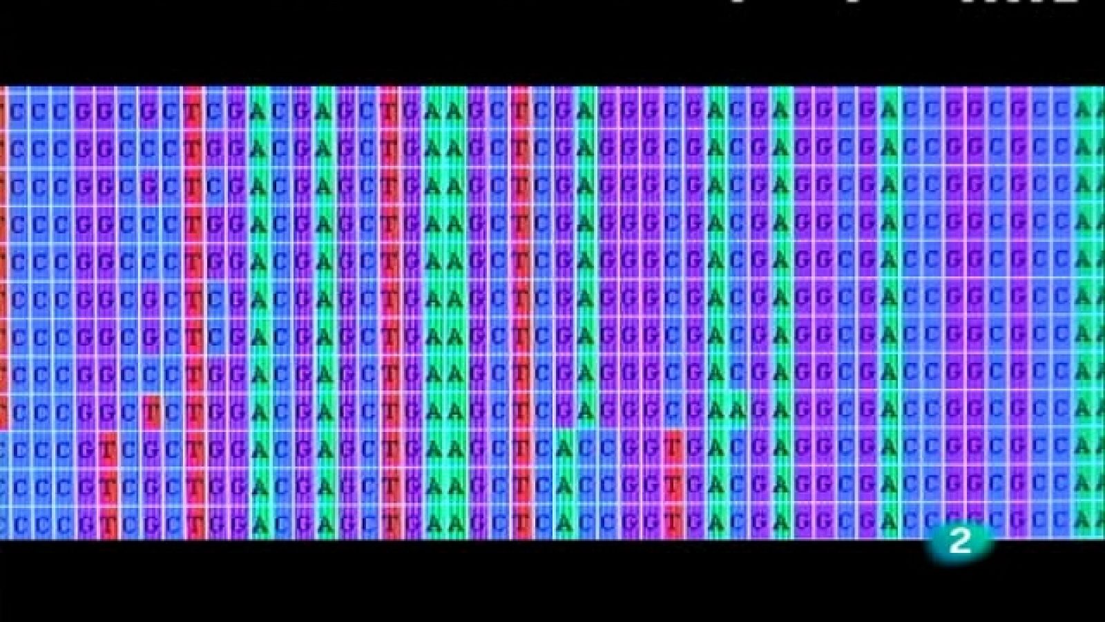 + Investigadores - Alicia Aranaz Martín - Ver ahora