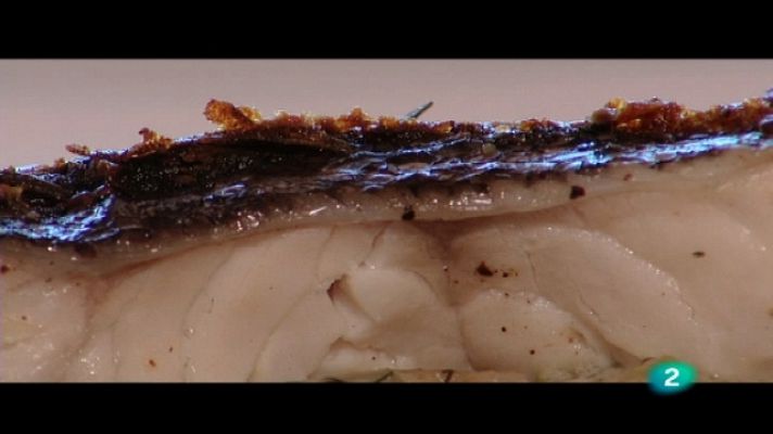 Con los 6 sentidos - Fuerteventura I