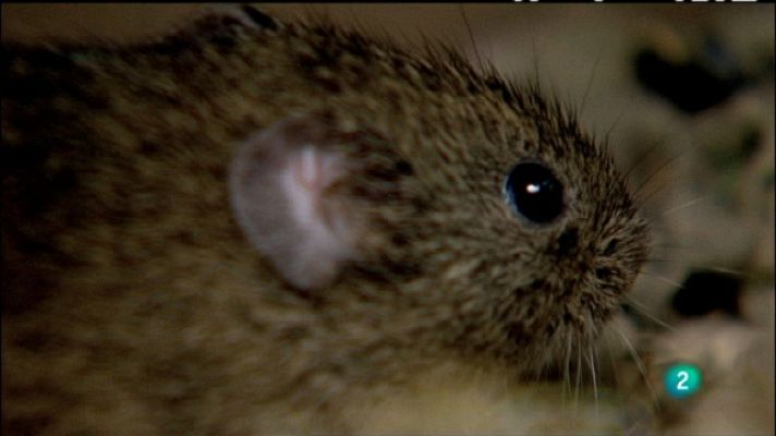 Biodiario - Biodiario - 21/07/11