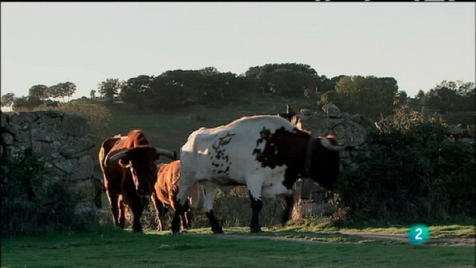 Biodiario - 22/07/11 - Ver ahora